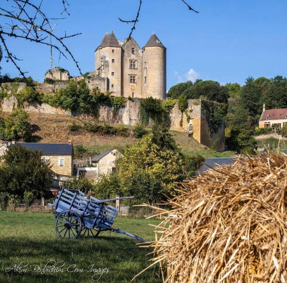 Petite Maison En Pierre Au Coeur Du Perigord Noir Salignac Eyvigues Exterior foto